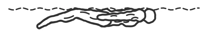 Body dolphin — end position