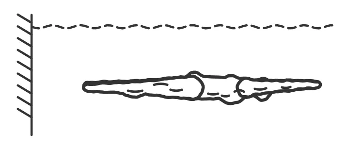 Push-off and streamline glide — end position