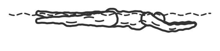 Front sculling — end position