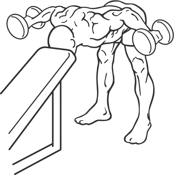 Chest-Supported Rear Delt Raise — end position
