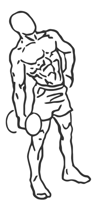 Dumbbell Side Bend — end position