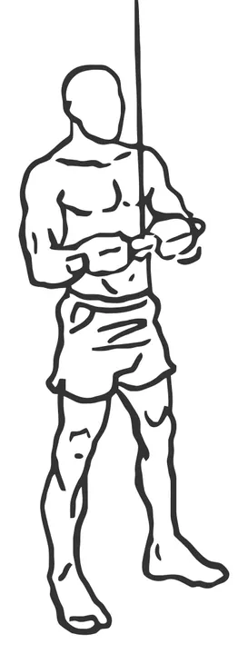 Cable Triceps Pushdown — start position