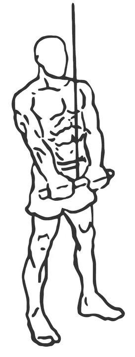 Cable Triceps Pushdown — end position