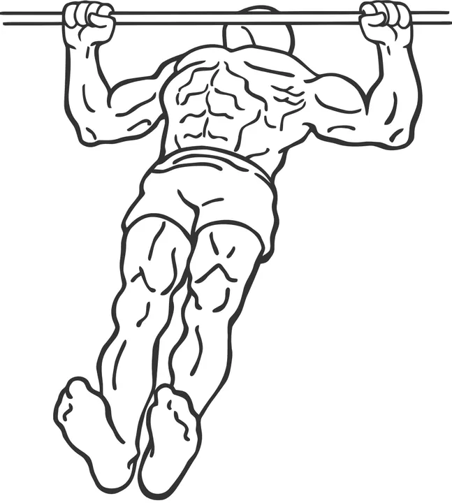 Inverted Row — end position