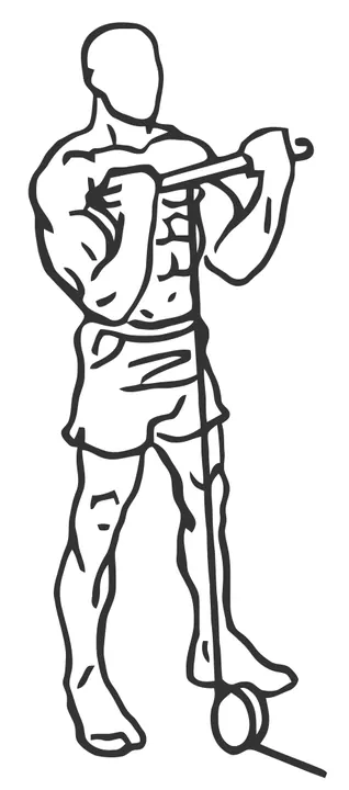 Standing Cable Curl — end position