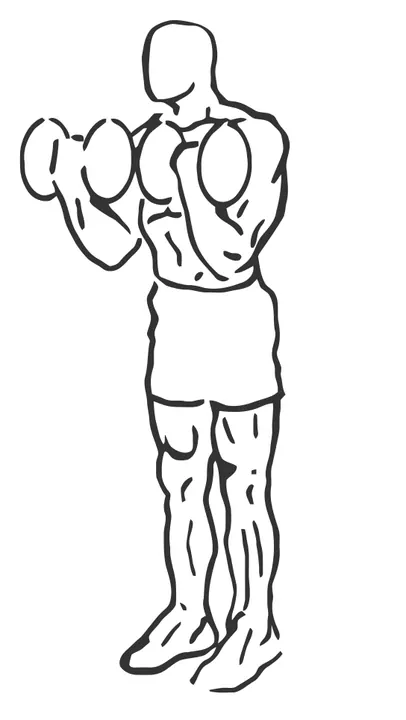 Dumbbell Squat to Curl — end position