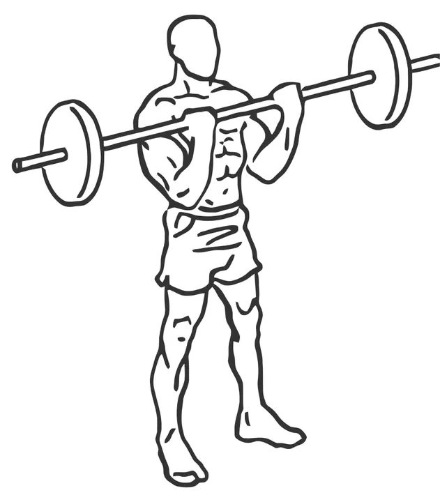 Barbell Curl — end position