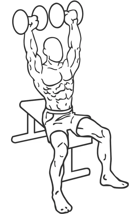 Seated Dumbbell Shoulder Press — end position