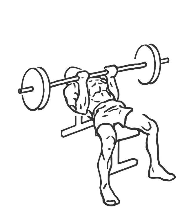 Reverse-Grip Incline Bench Press — end position