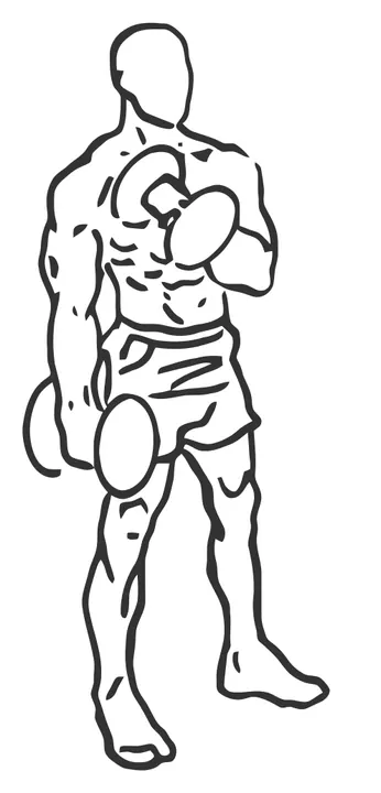 Cross-Body Hammer Curl — end position