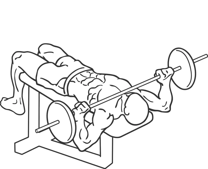 Decline Barbell Neck Press — end position