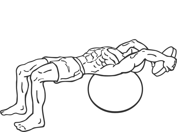 Stability Ball Dumbbell Pullover — end position