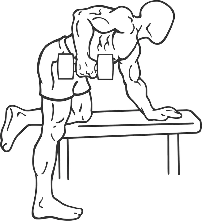 One-Arm Dumbbell Row — end position