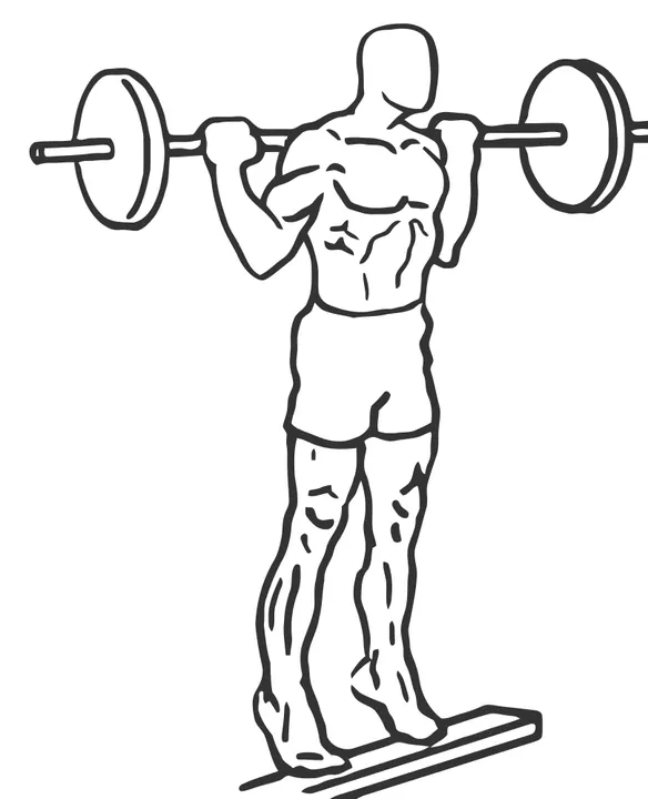 Standing Barbell Calf Raise — end position
