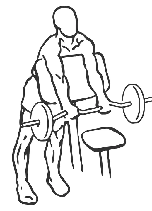 Barbell Spider Curl — start position