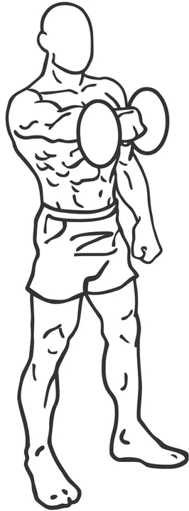 Alternating Dumbbell Front Raise — end position