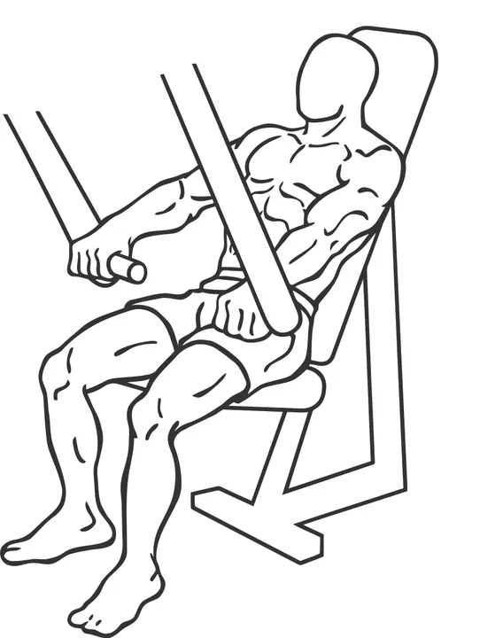 Decline Machine Chest Press — start position