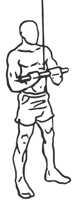 Straight-Bar Triceps Pushdown — start position