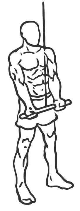 Straight-Bar Triceps Pushdown — end position