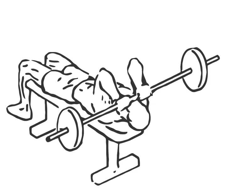 Lying Barbell Triceps Extension — end position