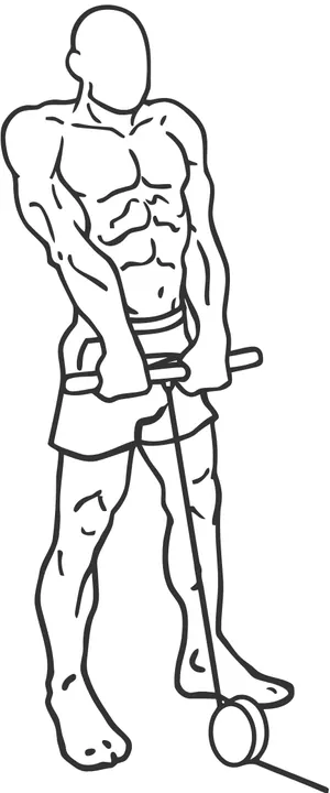 Cable Shrug — end position