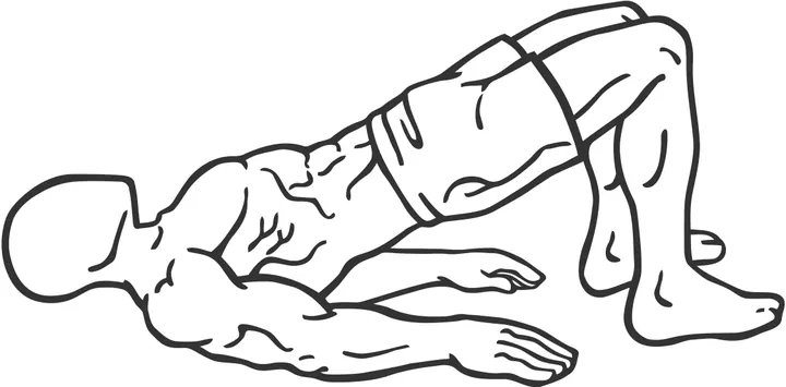 Glute Bridge — end position