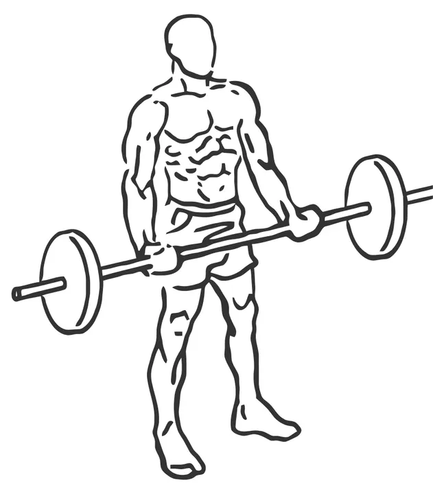 Wide-Grip Barbell Curl — start position