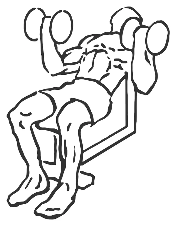 Incline Inner Biceps Curl — end position