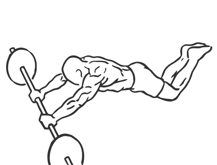 Kneeling Barbell Ab Rollout — end position