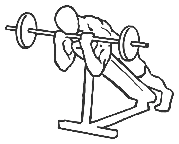 Prone Incline Barbell Curl — end position