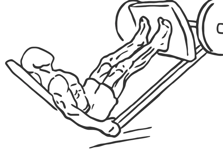 Leg Press Calf Press — end position
