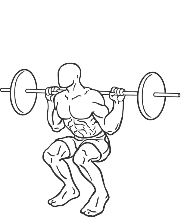 Narrow-Stance Barbell Squat — end position