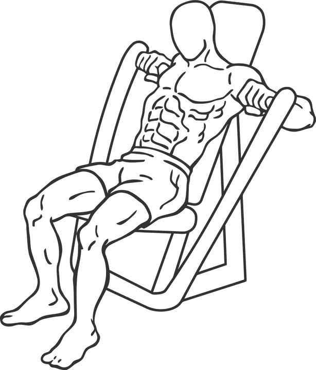 Seated Machine Chest Press — end position