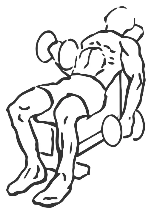 Alternating Incline Dumbbell Curl — start position