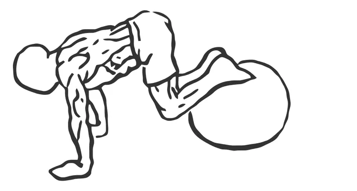 Stability Ball Knee Tuck — end position