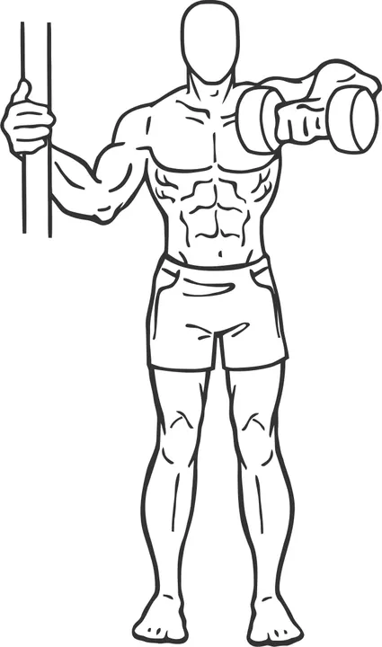 One-Arm Dumbbell Upright Row — end position