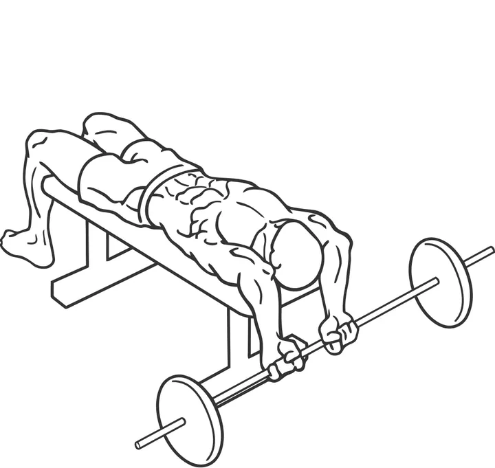 Bent-Arm Barbell Pullover — end position