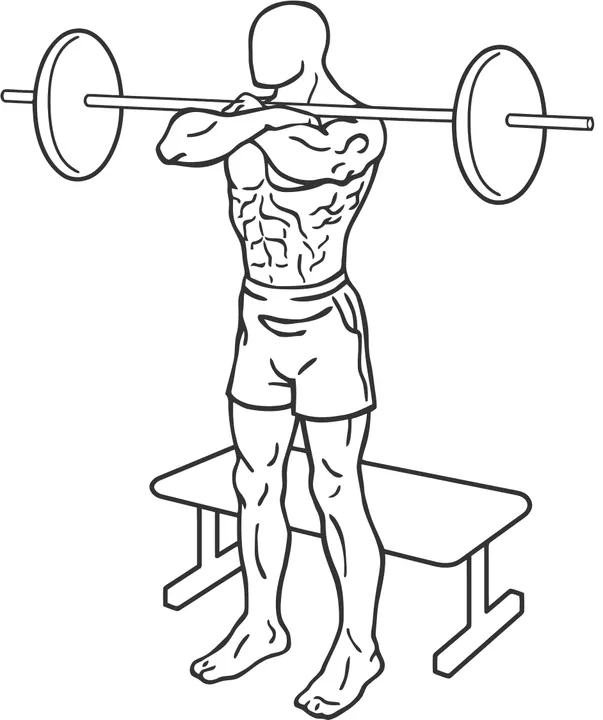 Barbell Front Box Squat — start position