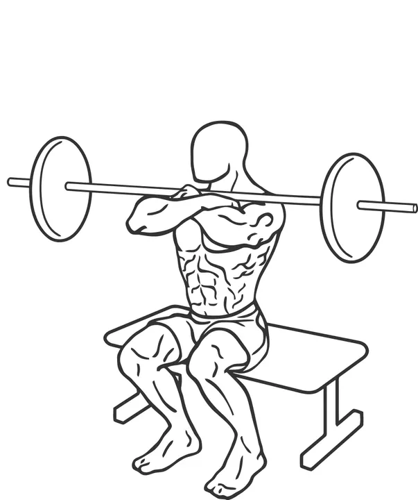 Barbell Front Box Squat — end position