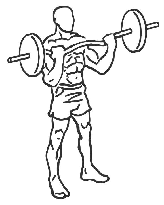 EZ-Bar Curl — end position