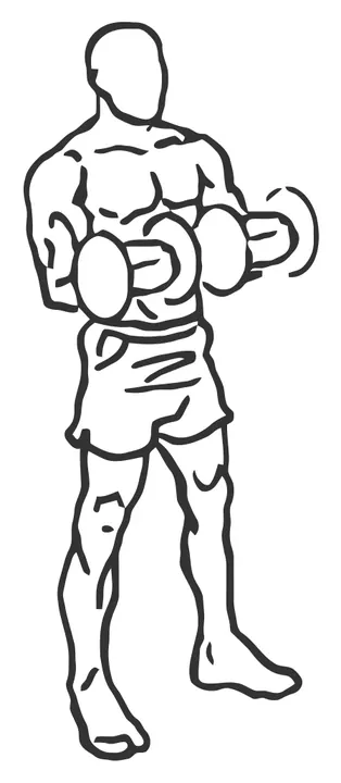 Dumbbell Reverse Curl — end position