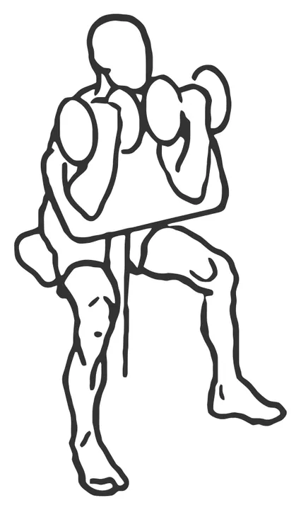 Dumbbell Preacher Curl — end position