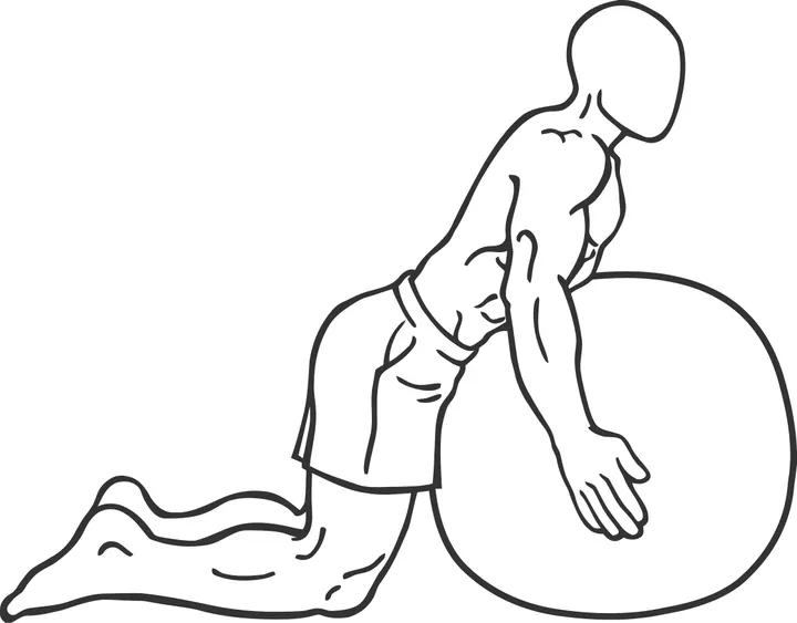 Kneeling Back Extension on Stability Ball — end position