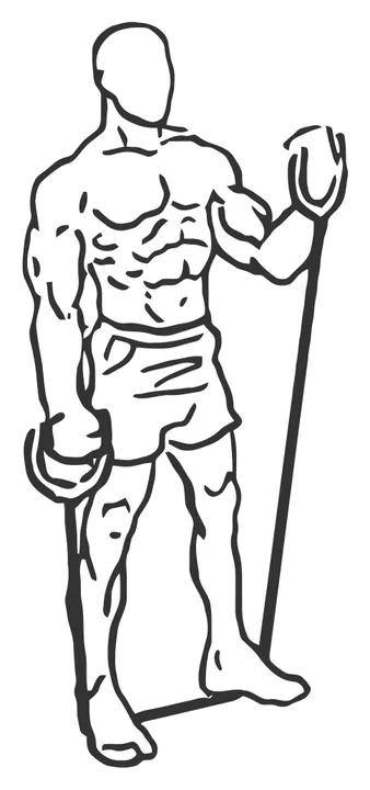 Alternating Band Curl — end position