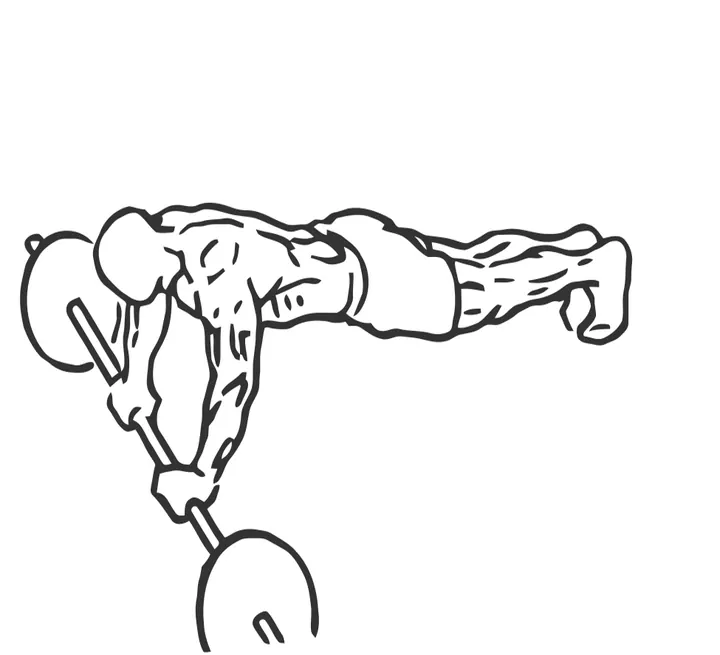 Barbell Ab Rollout — end position