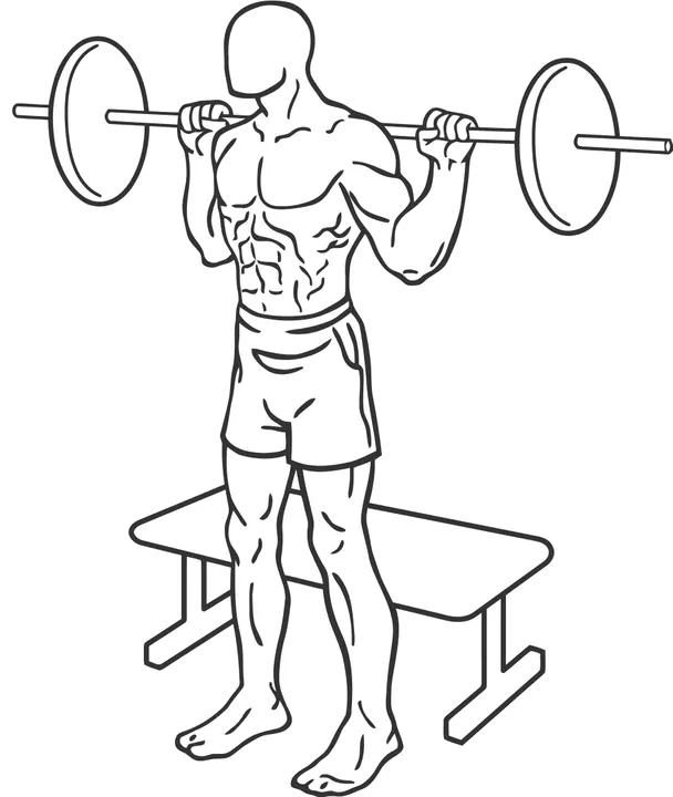 Barbell Box Squat — start position