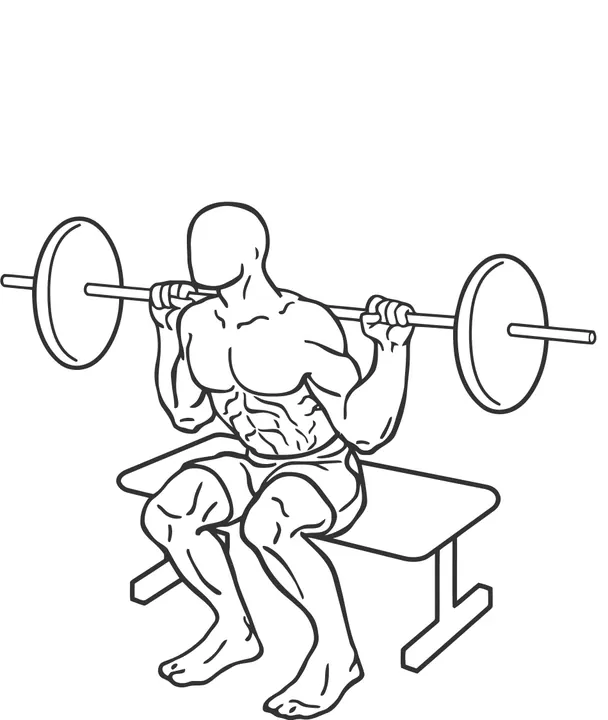 Barbell Box Squat — end position