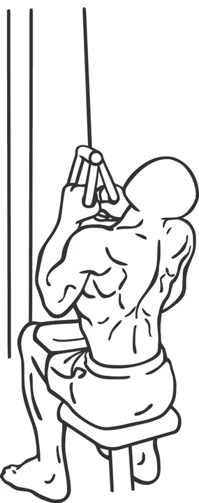 V-Bar Lat Pulldown — end position