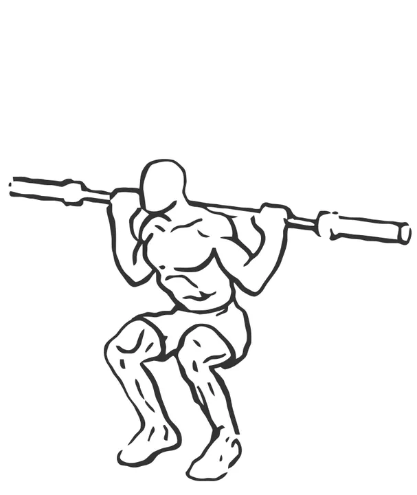 Barbell Back Squat — end position