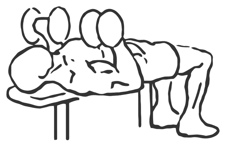 Lying Supine Dumbbell Curl — end position
